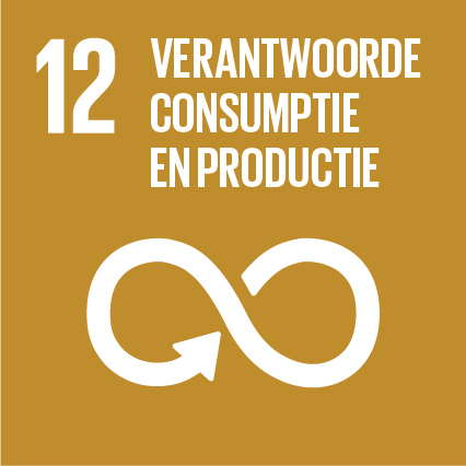 SDG 12 - Duurzame consumptie en productie