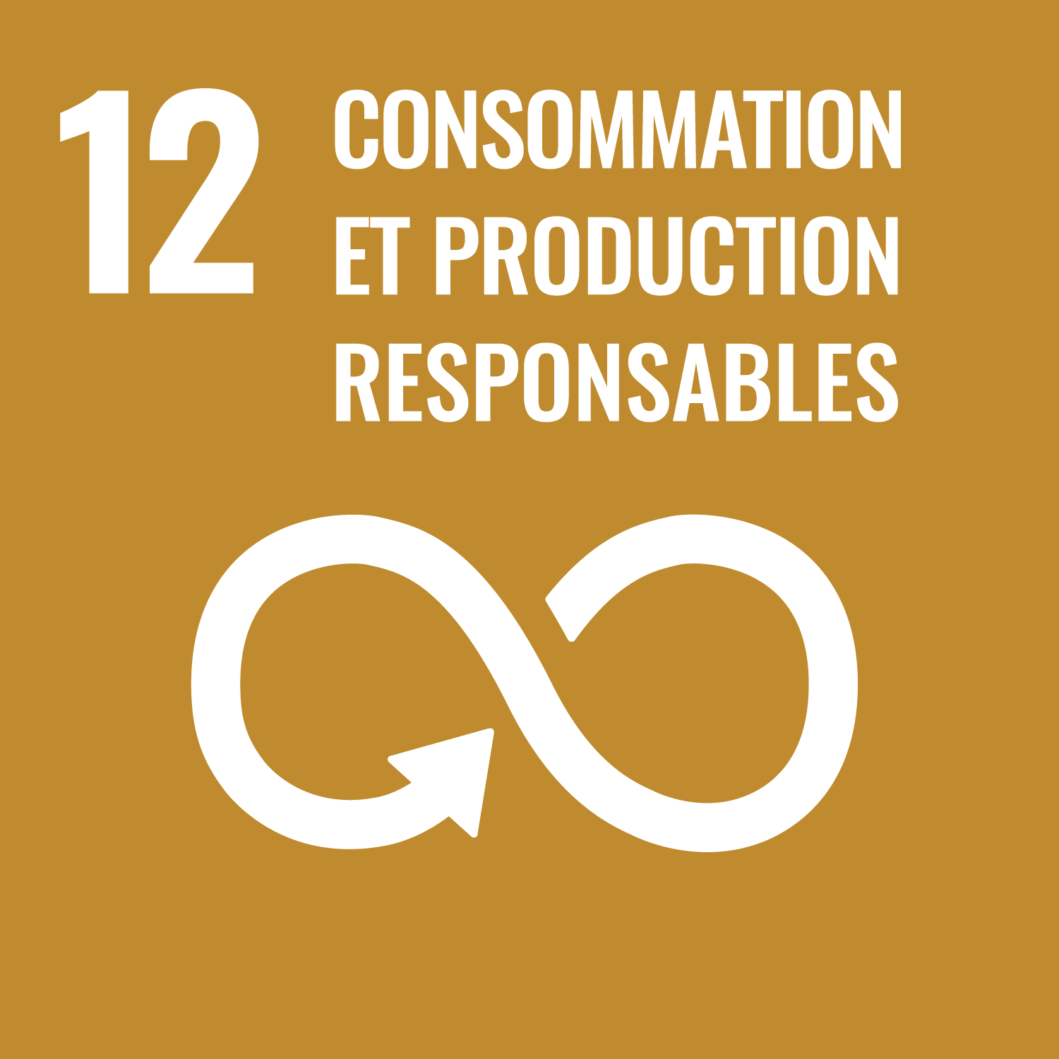 SDG 12 - Consommation et production responsables