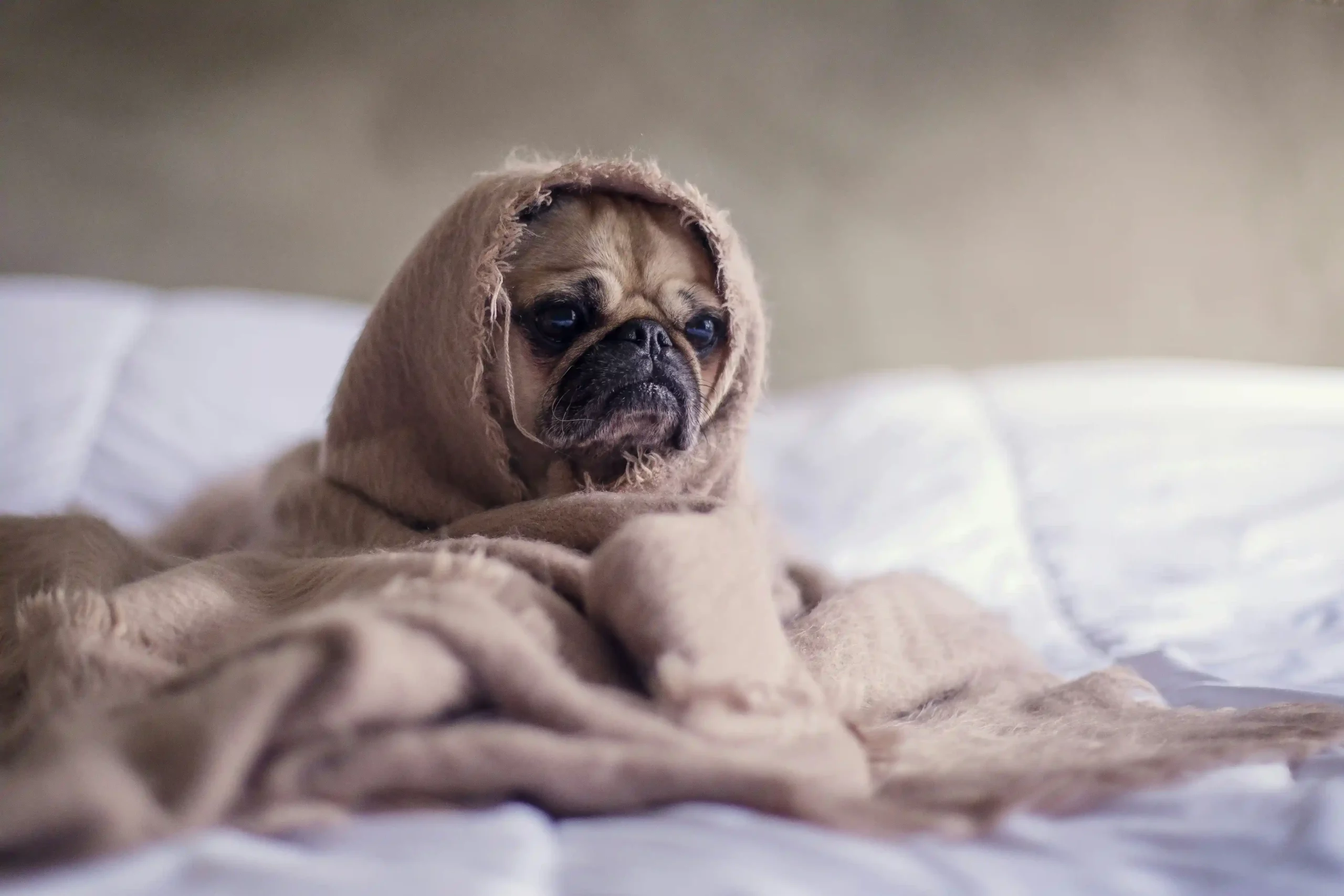 Bien manger, dormir mieux : l’impact de la nutrition sur votre sommeil