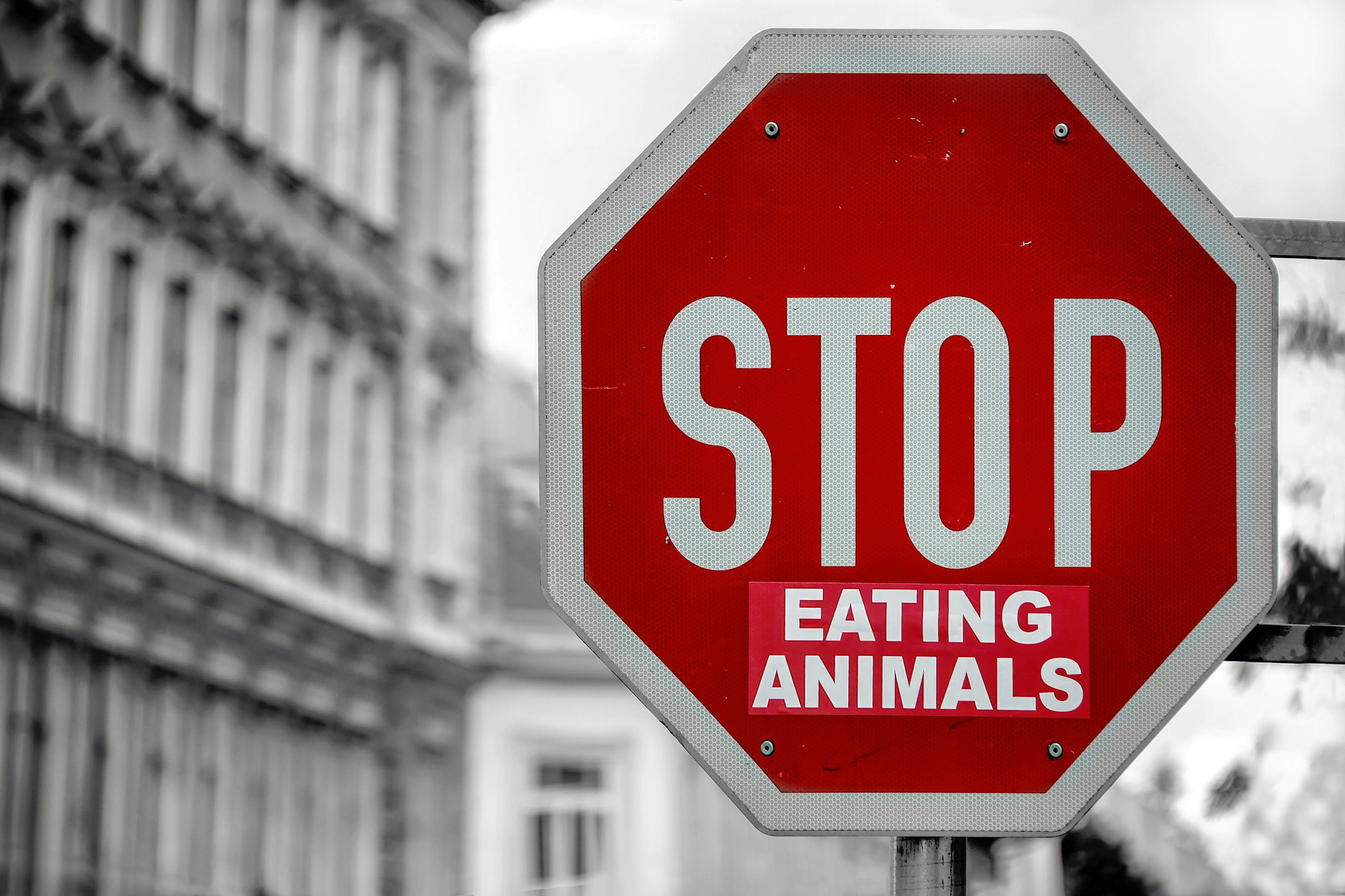 Bienfaits alimentation vegane - panneau stop eating animals - vegaans dieet