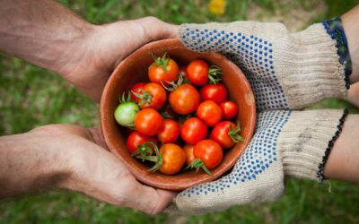 Les avantages des produits bio pour la santé et l’environnement