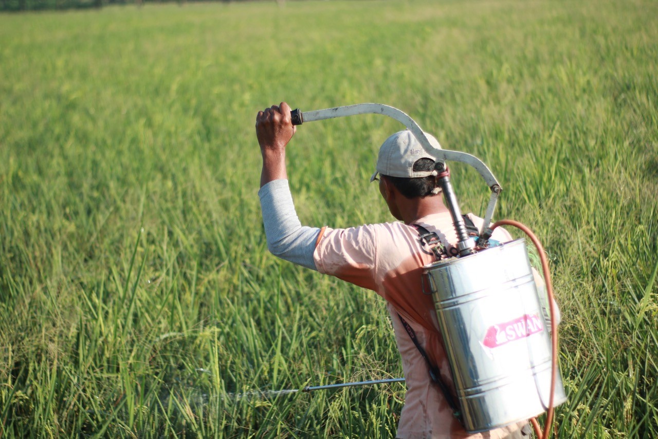 Agriculteur pesticides champ