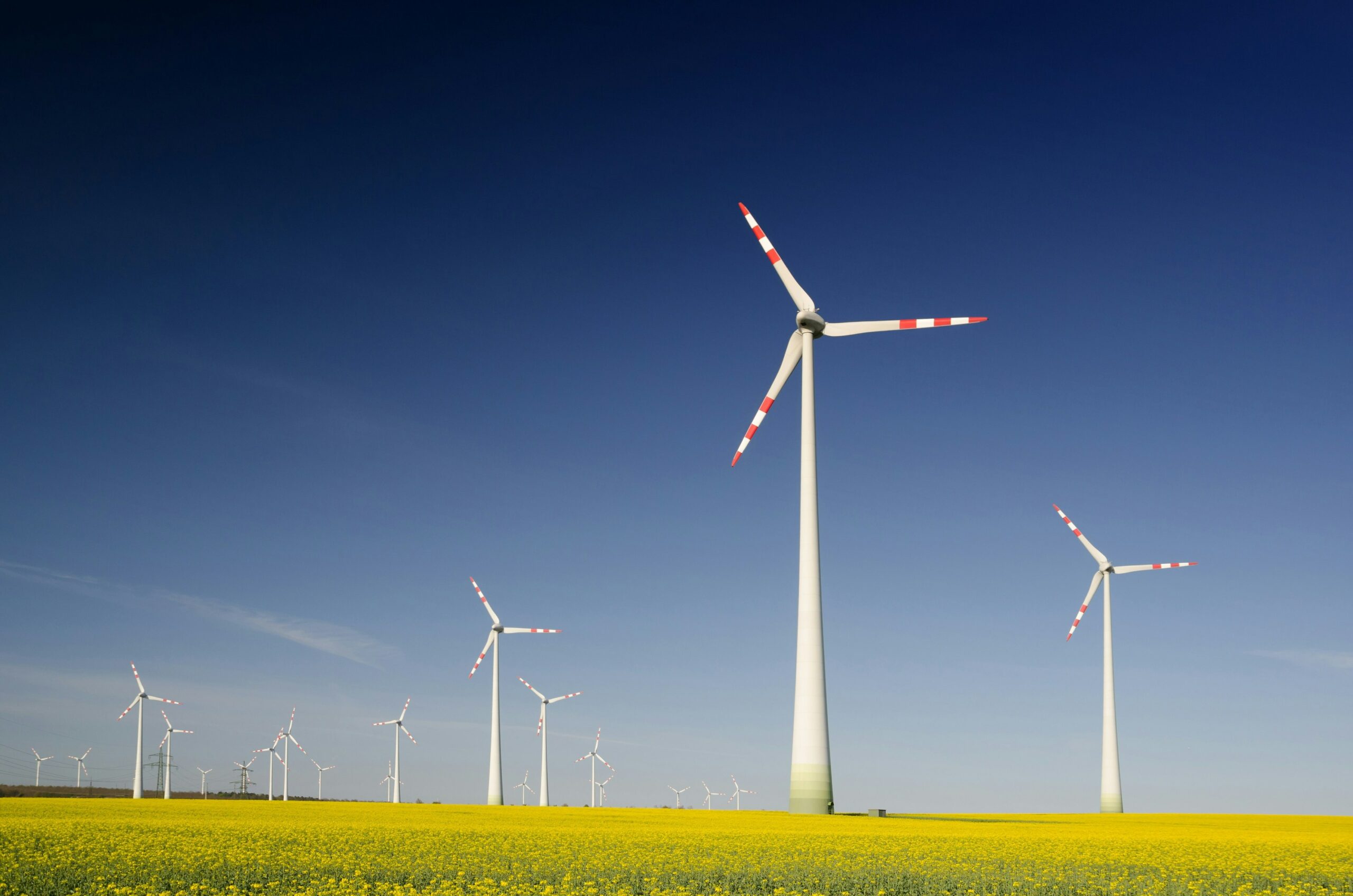 Loi climat et resilience - eoliennes