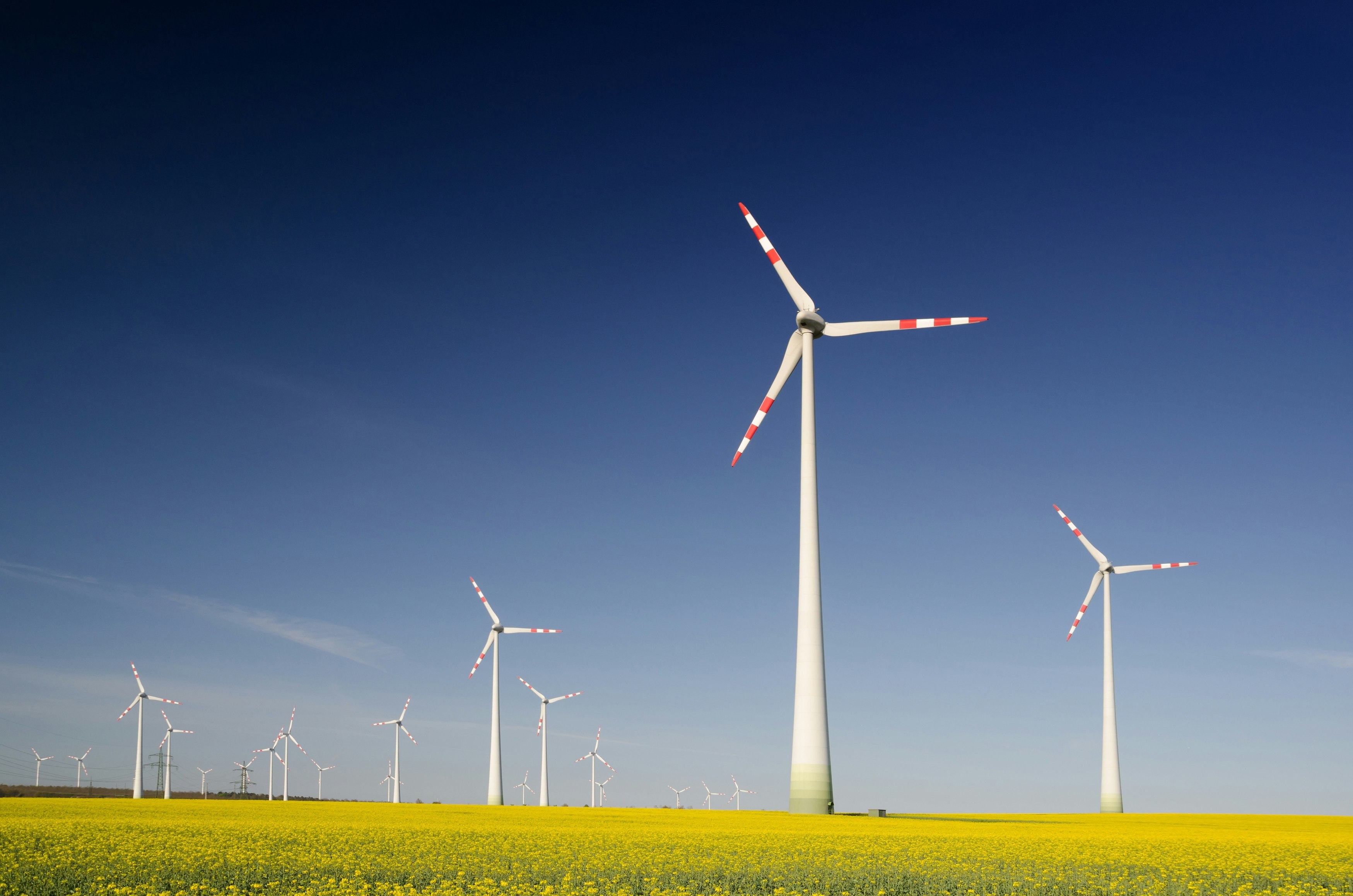 Loi climat et resilience - eoliennes - wet klimaat en veerkracht