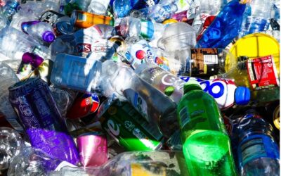 Emballages à usage unique : la facture cachée