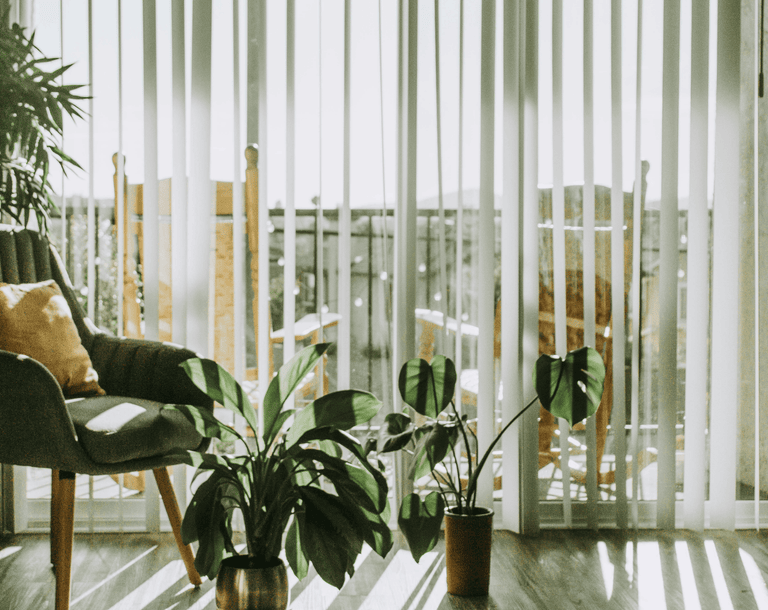 Plantes au bureau - petites et grandes plantes
