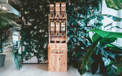 Guide pratique pour la mise en place de collations saines au bureau