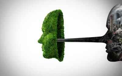 Greenwashing: Distinguishing Real Commitment from Green Marketing